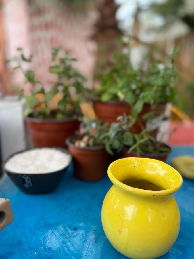 La Sardina Hostel Тодос Сантос Екстериор снимка